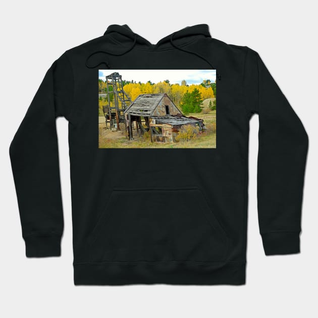 Abandoned Mine in Autumn Hoodie by bobmeyers